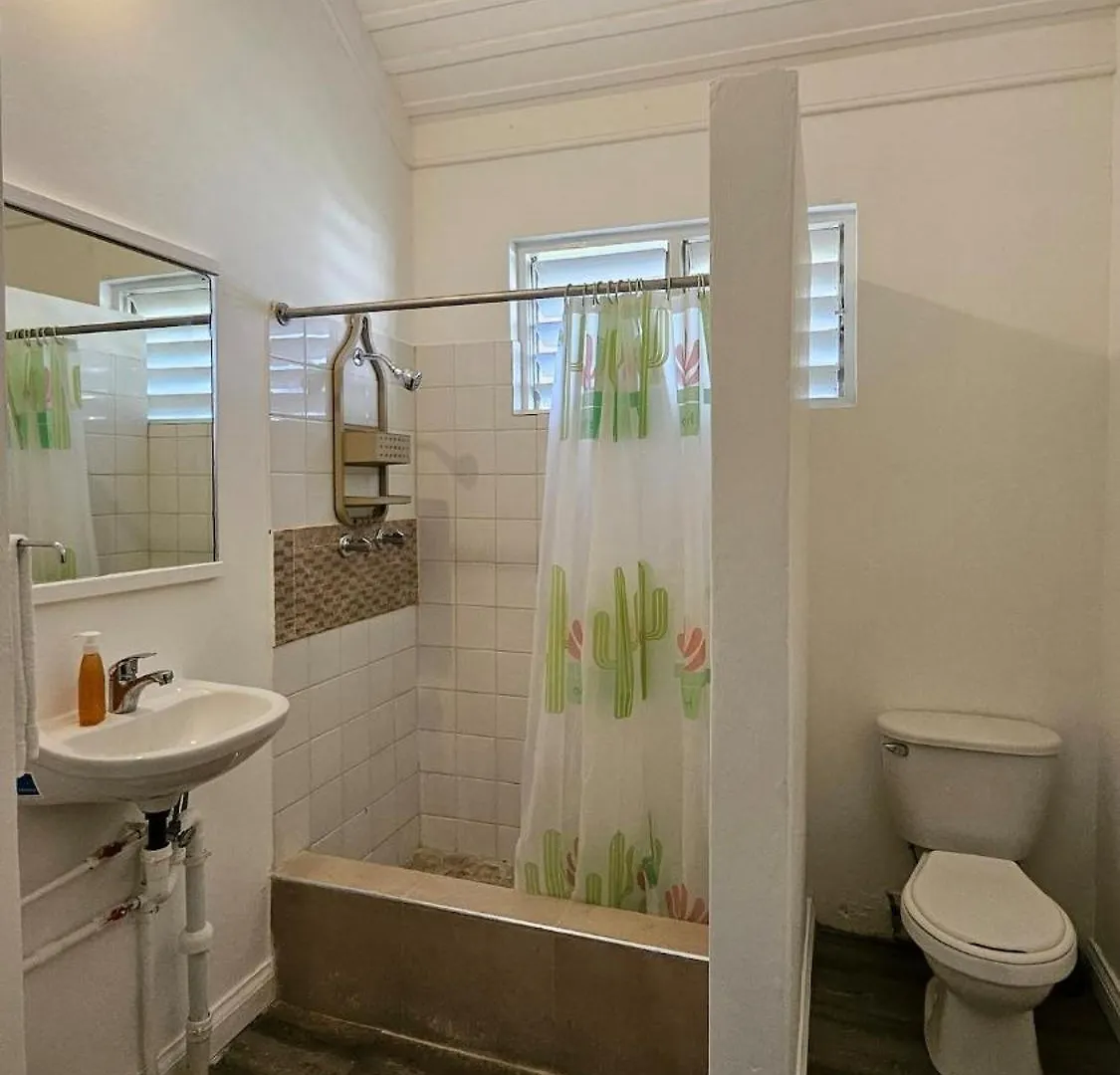 Apartmán Studio Apt, Natural Beach And Pool G199A Montego Bay Jamajka